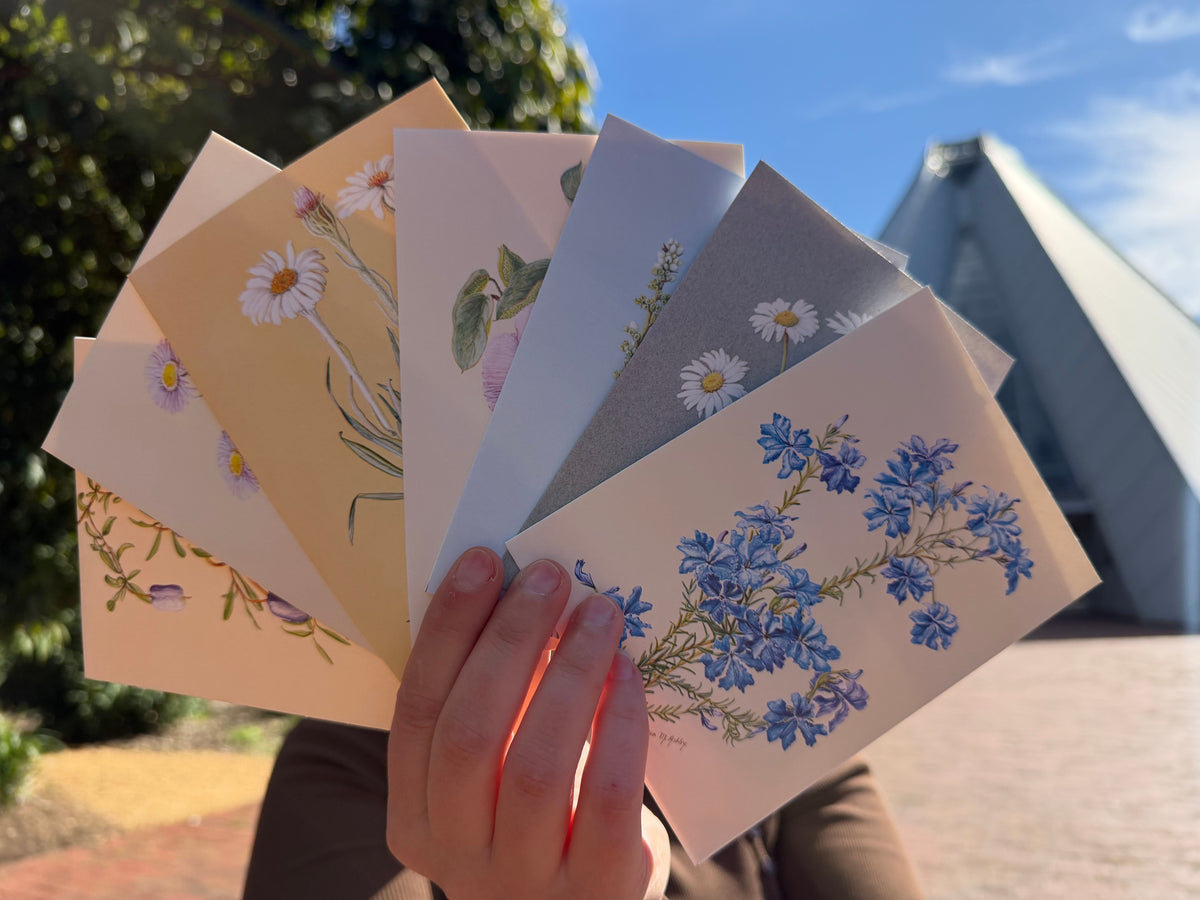 Alison Ashby Notelets | Pack of 7