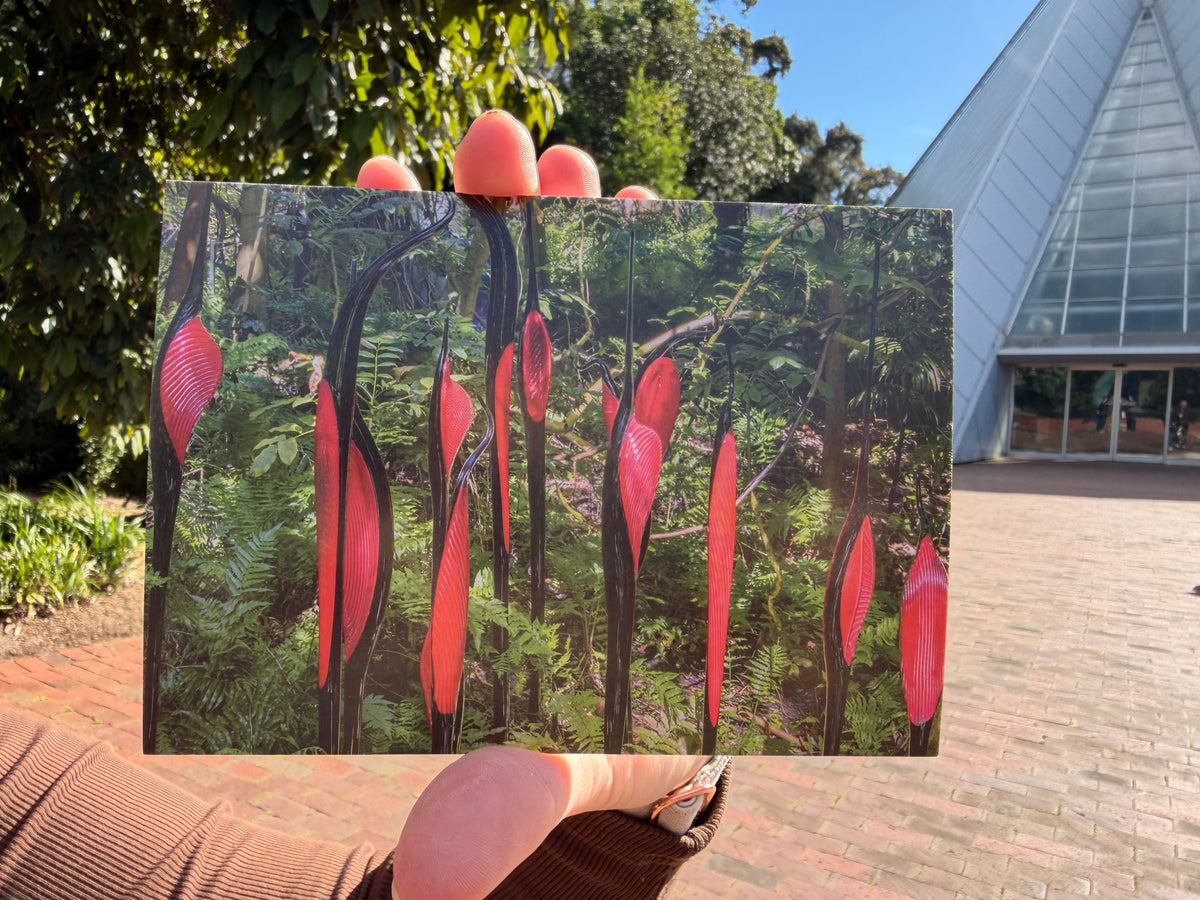 Postcard | Chihuly in the Botanic Garden