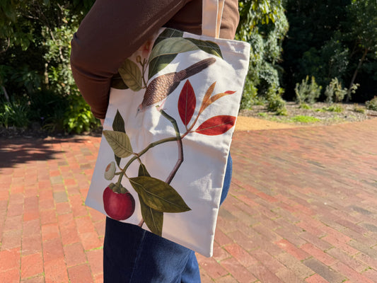 Tote Bag | Tails from the Coasts