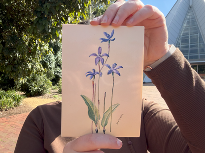 Alison Ashby Postcards | Pack of 6