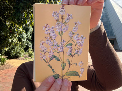 Alison Ashby Postcards | Pack of 6