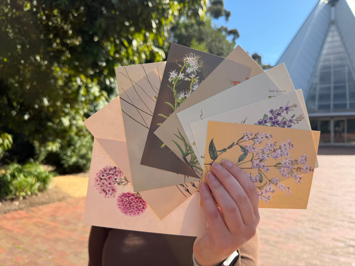 Alison Ashby Postcards | Pack of 6