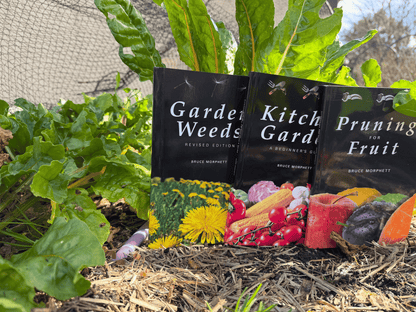 Beginner's Guide to Gardening Bundle