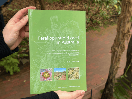 Feral optuntioid cacti in Australia