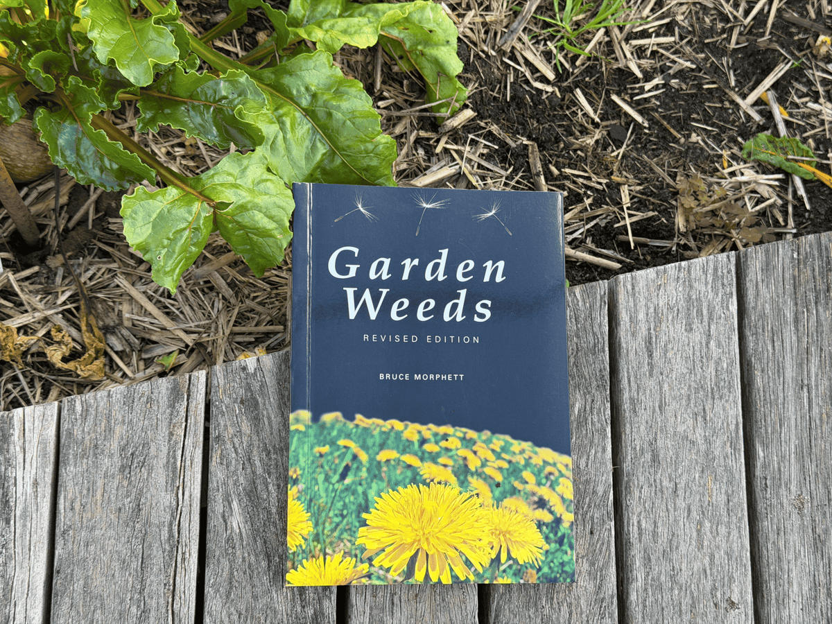 Garden Weeds