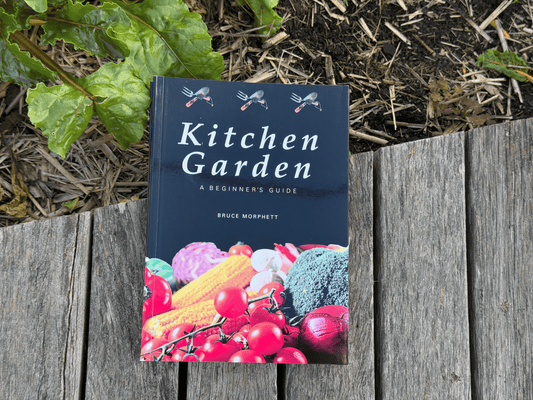 Kitchen Garden: A Beginner's Guide