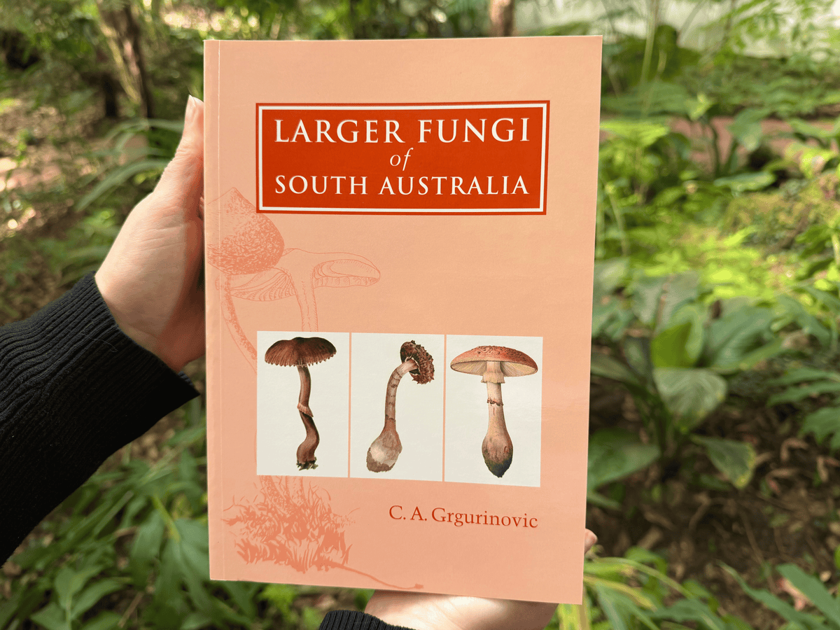 Larger Fungi of South Australia