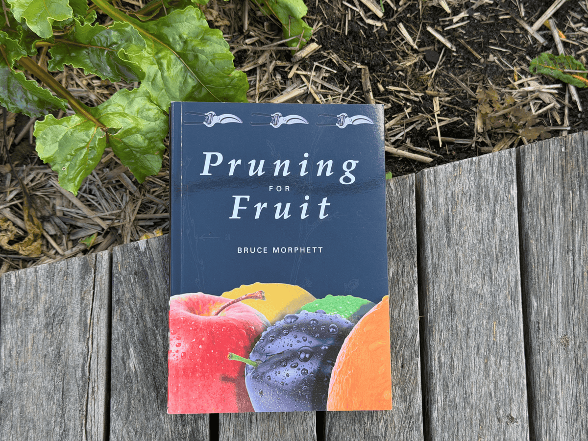 Pruning for Fruit