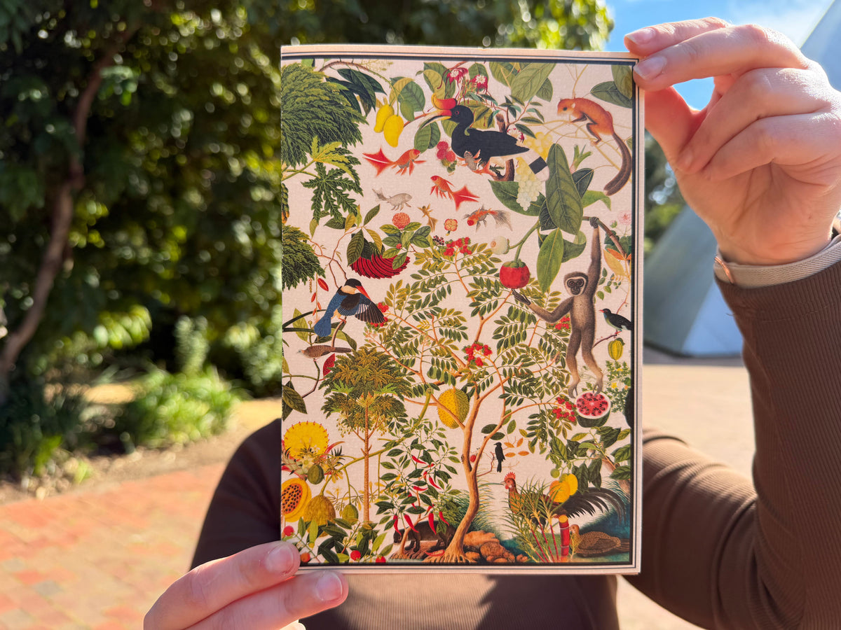 Notebook | Tails from the Coasts