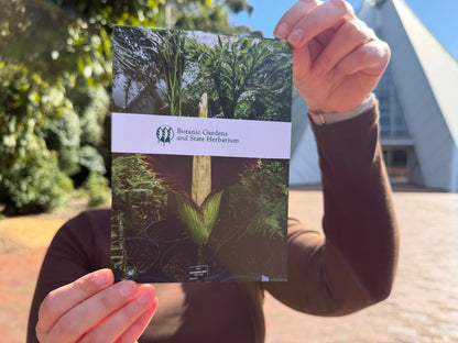 Titan Arum Postcards | Pack of 6