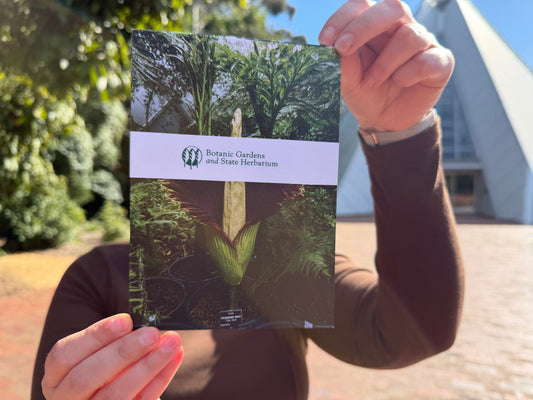 Titan Arum Postcards | Pack of 6