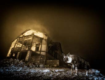 Mini Print | Wildlife Photographer of the Year 61